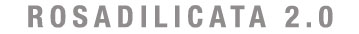2 ROSALIDILICATA-banner